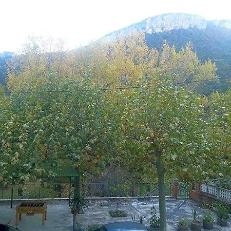 Durtzi *